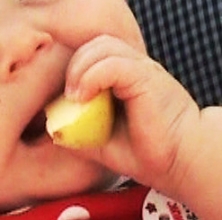 Lily 9m eating apple wedge 3.jpg