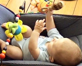 W 4m hold and shakes rattle.jpg